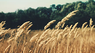 ddos攻击测试工具