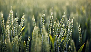 免费ddos攻击网页端