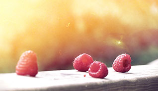 【在线安装】便捷的ddos免费测试